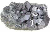 Galena and Chalcopyrite Crystal Association - Bulgaria #41749-1